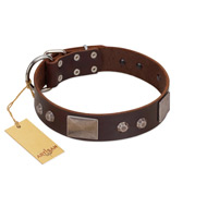 (image for) "Stone Stars" Stylish Handmade FDT Artisan Brown Leather American Bulldog Collar