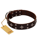 (image for) "Trendy Candy" FDT Artisan Brown Leather American Bulldog Collar Adorned with Stars and Tiny Squares