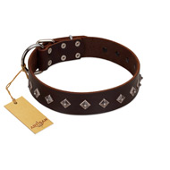 (image for) "Boundless Energy" Premium Quality FDT Artisan Brown Designer Leather American Bulldog Collar with Small Pyramids