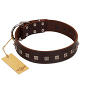 (image for) "Kingly Grace" FDT Artisan Brown Leather American Bulldog Collar with Silver-like Dotted Studs