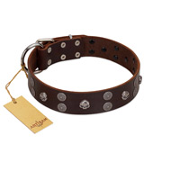 (image for) "Skull Valley" Handcrafted FDT Artisan Brown Leather American Bulldog Collar with Skulls