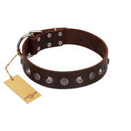 (image for) "Dark Chocolate" Handmade FDT Artisan Brown Leather American Bulldog Collar with Studs