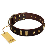(image for) "Choco Delight" FDT Artisan Brown Leather American Bulldog Collar with Old Bronze-like Plates and Studs