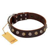 (image for) "Gape Buster" FDT Artisan Brown Leather American Bulldog Collar with One Row of Studs