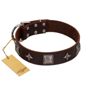 (image for) "Cold Star" Designer FDT Artisan Brown Leather American Bulldog Collar with Silver-Like Adornments