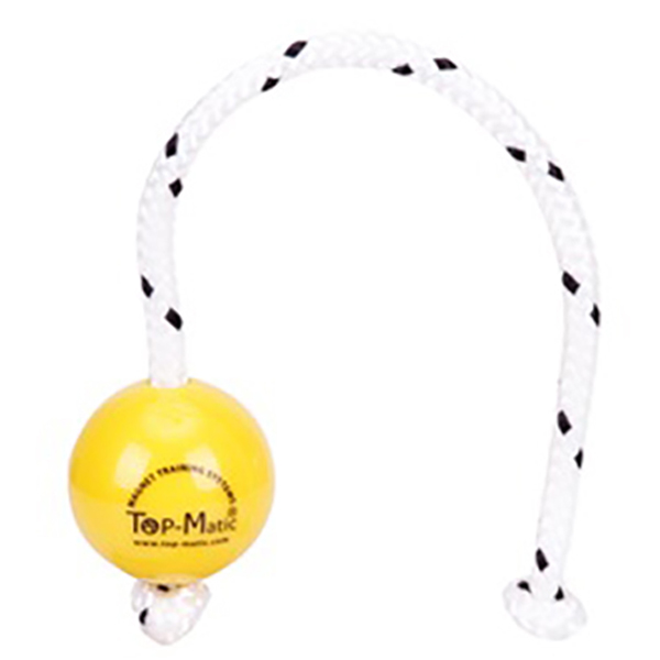 Plastic Ball with Inside Magnet for Fun Dog Training