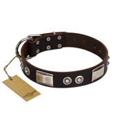 (image for) "Baller Status" FDT Artisan Brown Leather American Bulldog Collar Adorned with a Set of Chrome Plated Studs and Plates