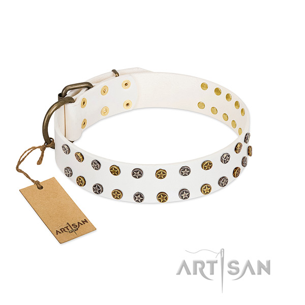 Fashionable natural leather dog collar with reliable decorations