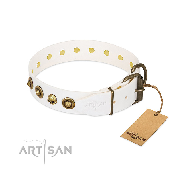 Leather collar with fashionable decorations for your dog