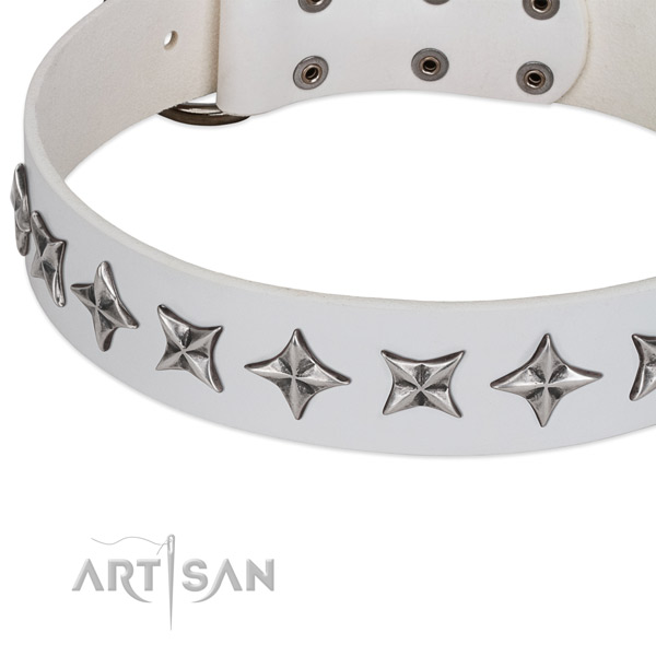 Comfy wearing adorned dog collar of top quality full grain leather