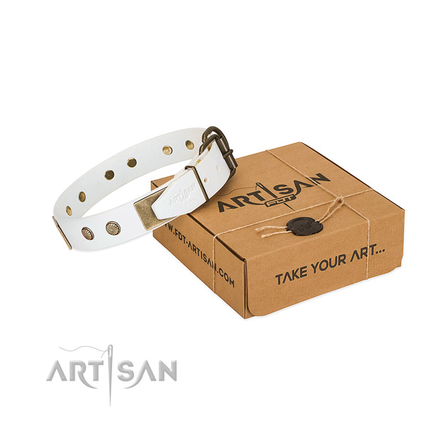 Corrosion resistant embellishments on dog collar for walking