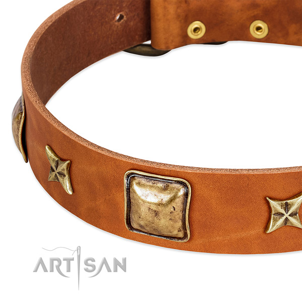 Reliable D-ring on genuine leather dog collar for your pet