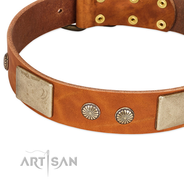 Rust resistant studs on genuine leather dog collar for your dog