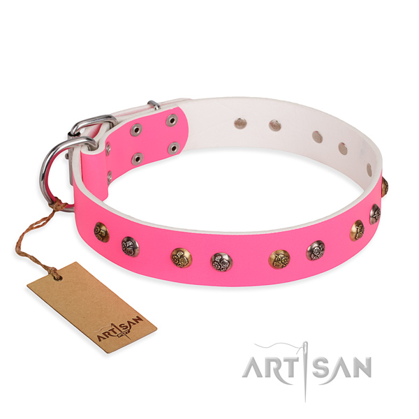 Daily walking handmade dog collar with rust-proof buckle
