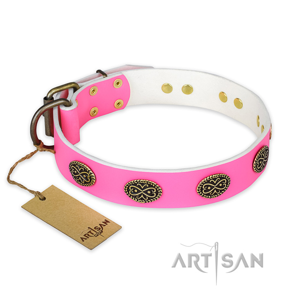 Trendy leather dog collar for stylish walking