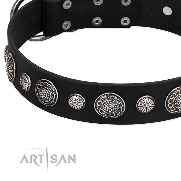 Full grain natural leather collar with durable D-ring for your lovely dog