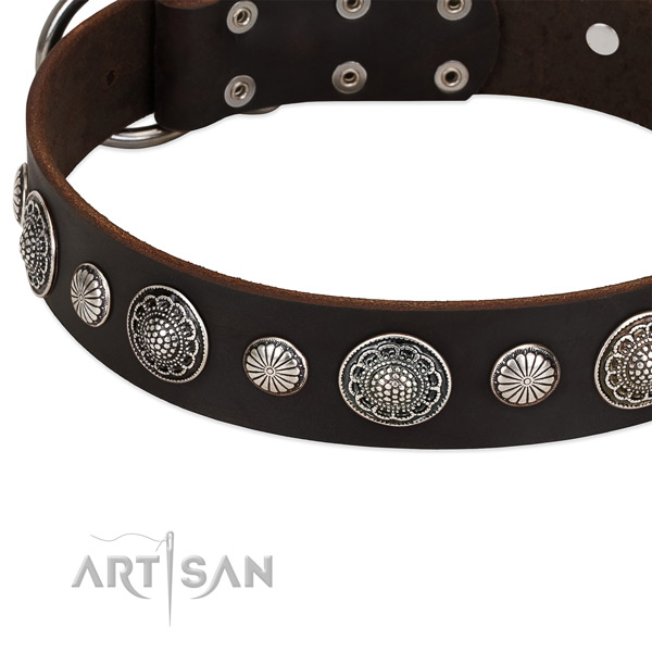 Full grain leather collar with corrosion resistant D-ring for your impressive pet