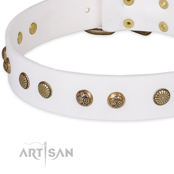 Full grain genuine leather collar with rust resistant D-ring for your beautiful dog