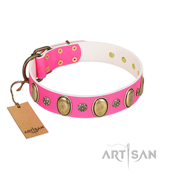 Reliable full grain leather dog collar with reliable D-ring