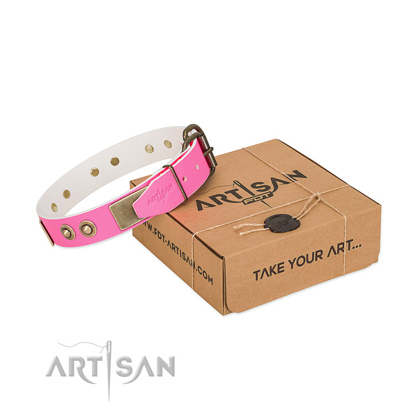 Corrosion proof studs on leather dog collar for your dog
