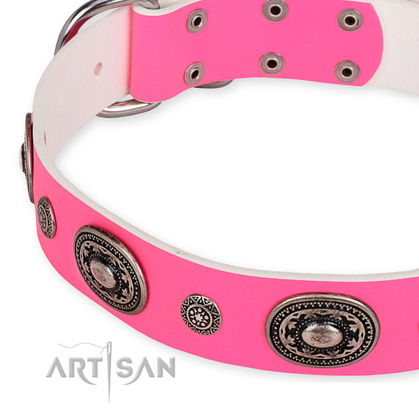 Full grain genuine leather dog collar with designer reliable adornments