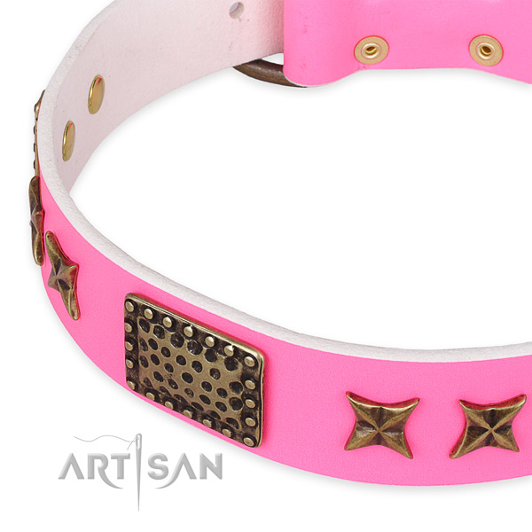 Full grain natural leather collar with reliable hardware for your impressive four-legged friend