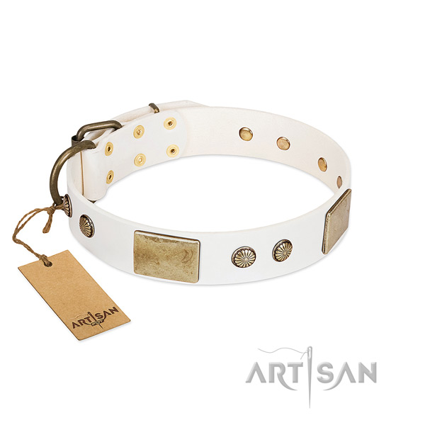 Easy adjustable natural leather dog collar for basic training your pet
