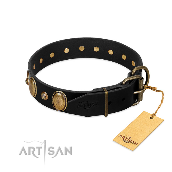 Corrosion proof traditional buckle on leather collar for walking your doggie