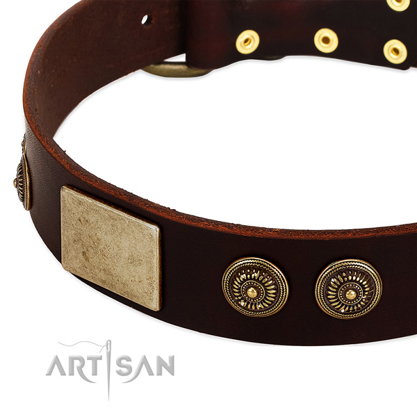 Corrosion resistant adornments on leather dog collar for your four-legged friend