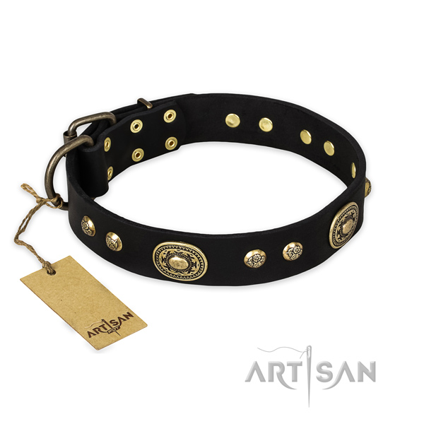 Designer leather dog collar with rust resistant D-ring