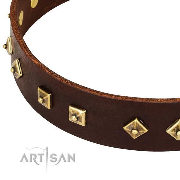 Incredible genuine leather collar for your handsome dog