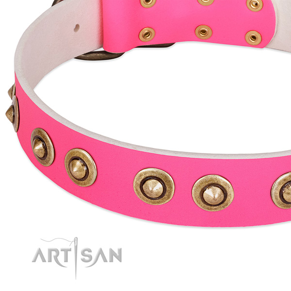 Corrosion proof traditional buckle on natural genuine leather dog collar for your canine