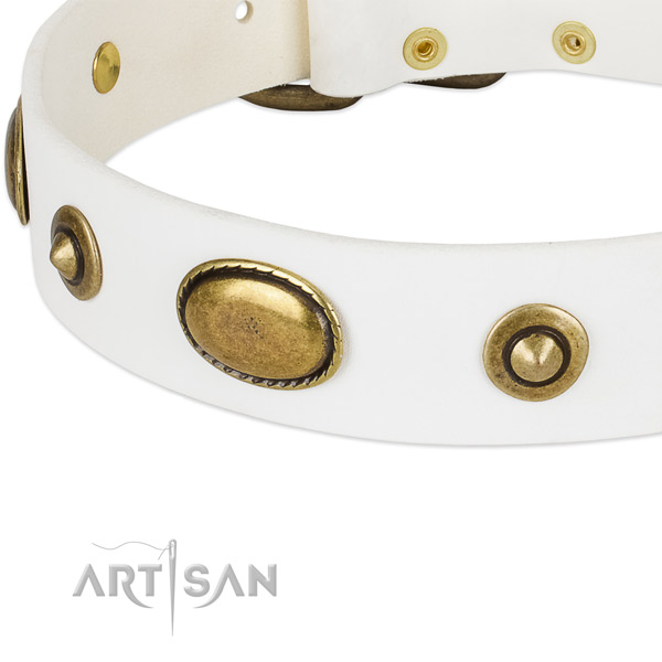 Strong embellishments on leather dog collar for your pet