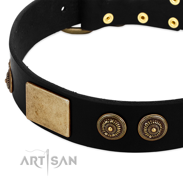 Corrosion resistant traditional buckle on full grain natural leather dog collar for your four-legged friend