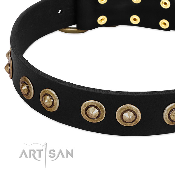 Corrosion proof traditional buckle on natural genuine leather dog collar for your pet
