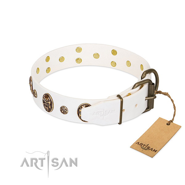 Durable embellishments on leather dog collar for your four-legged friend