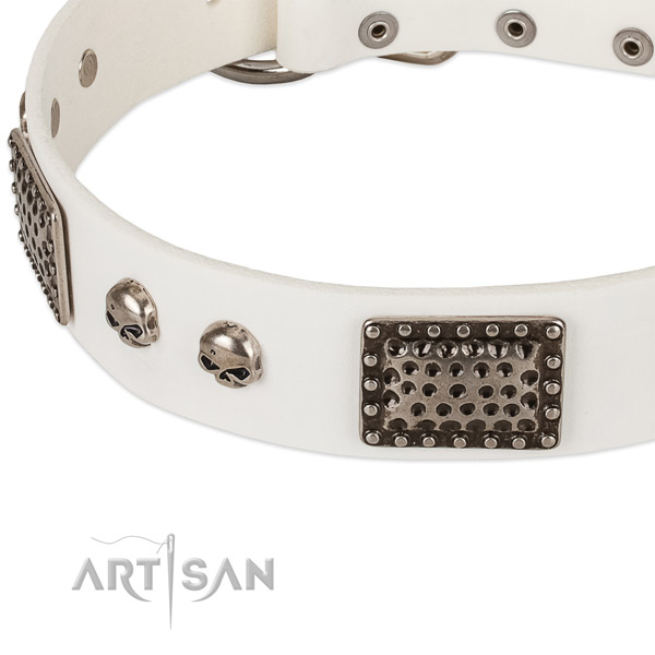 Corrosion proof buckle on genuine leather dog collar for your canine
