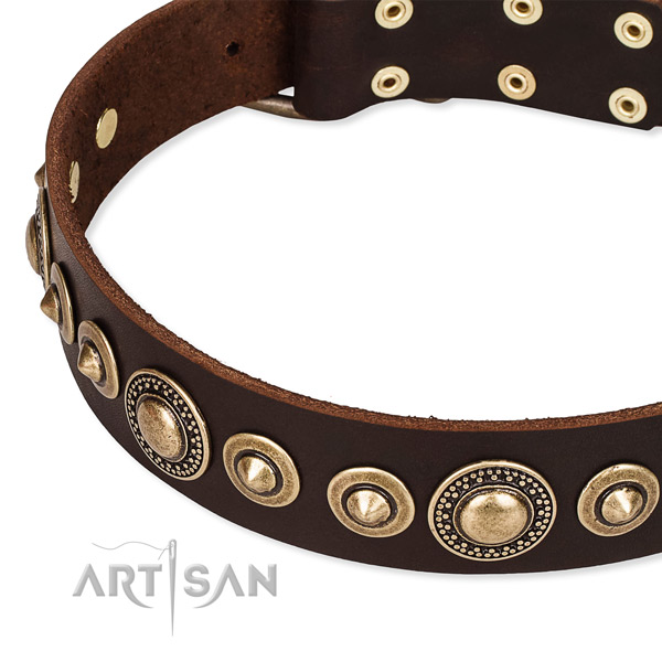 Strong genuine leather dog collar crafted for your beautiful doggie