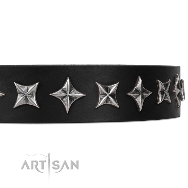 Everyday walking studded dog collar of durable leather