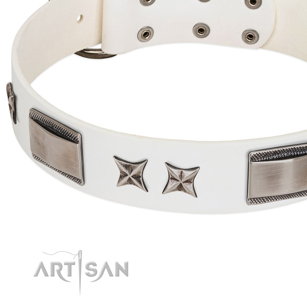 Soft leather dog collar with corrosion proof fittings