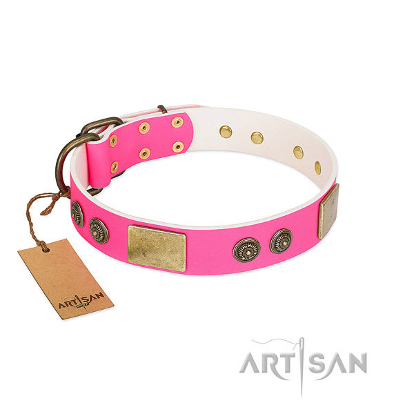 Studded genuine leather dog collar for handy use