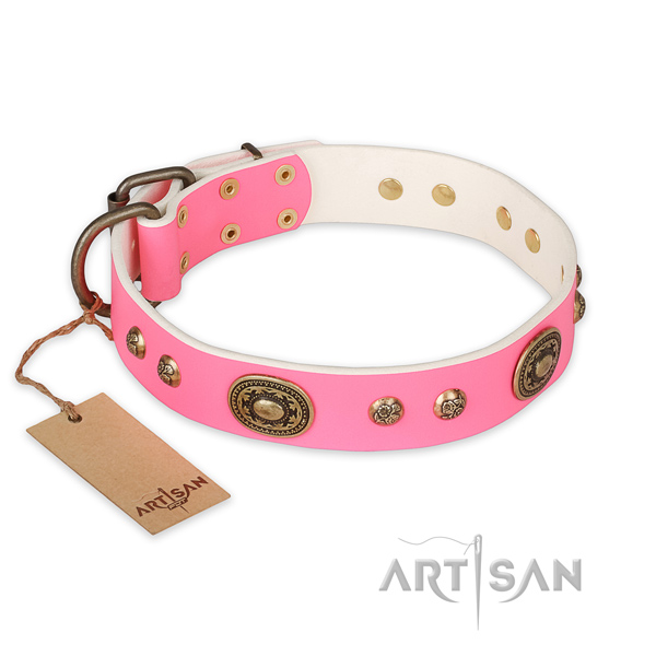 Fashionable genuine leather dog collar for daily walking
