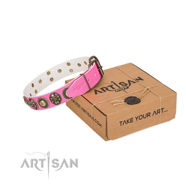 Strong traditional buckle on dog collar for daily use