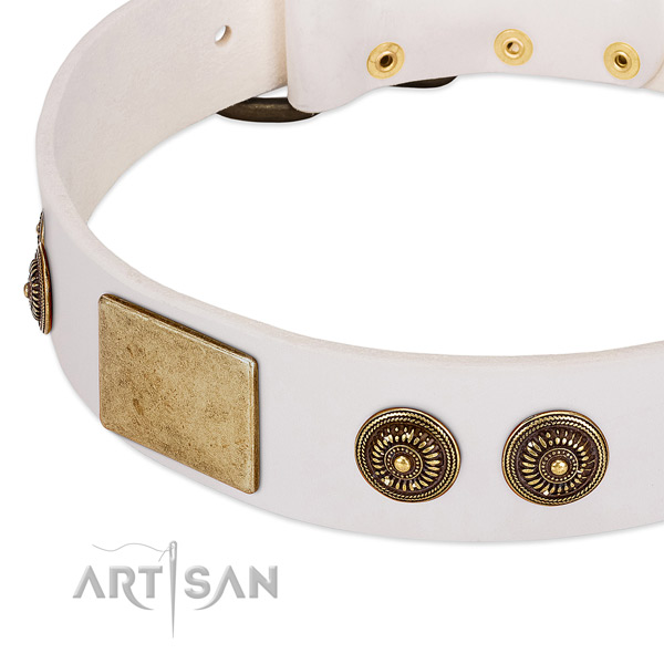 Inimitable dog collar created for your stylish doggie