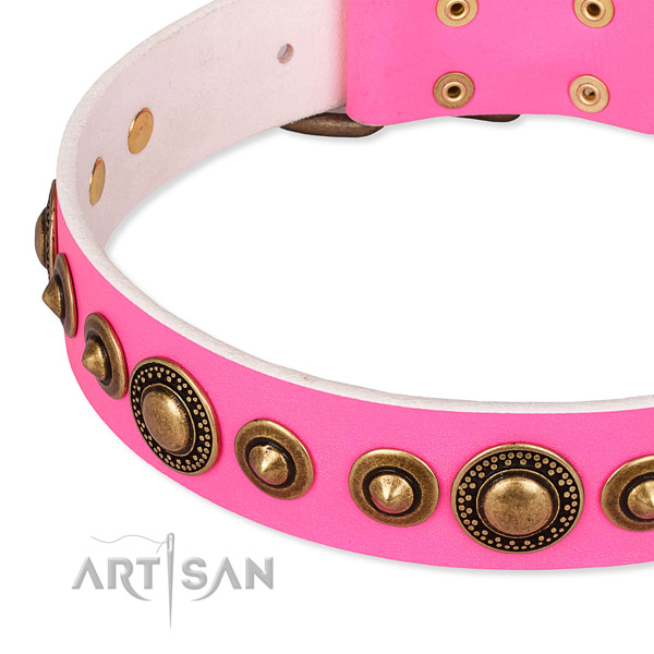 High quality leather dog collar handmade for your handsome canine