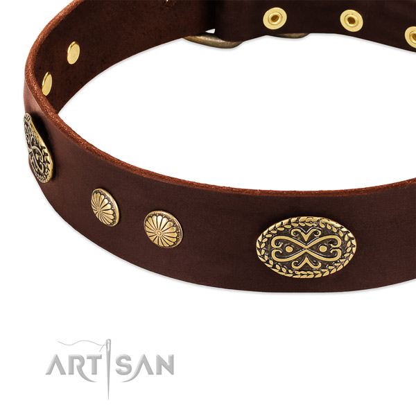 Rust-proof studs on genuine leather dog collar for your four-legged friend