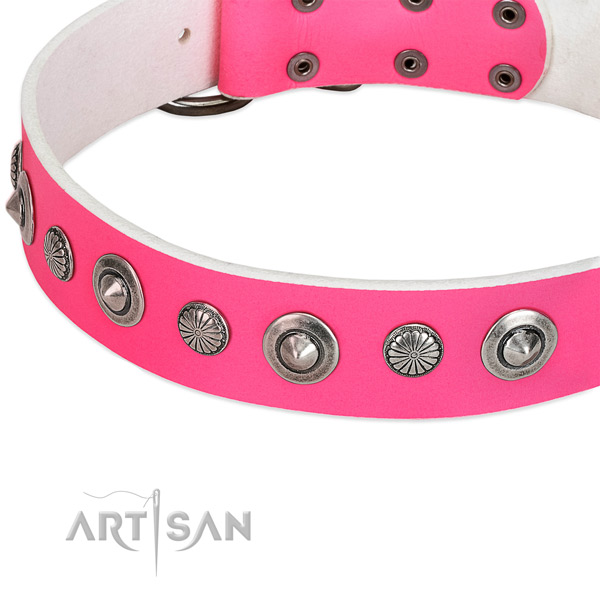 Full grain genuine leather collar with reliable buckle for your attractive dog