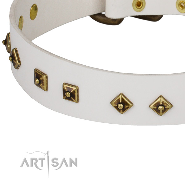 Stylish genuine leather collar for your impressive dog