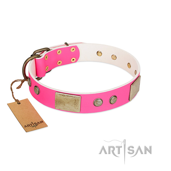 Easy adjustable full grain leather dog collar for walking your pet
