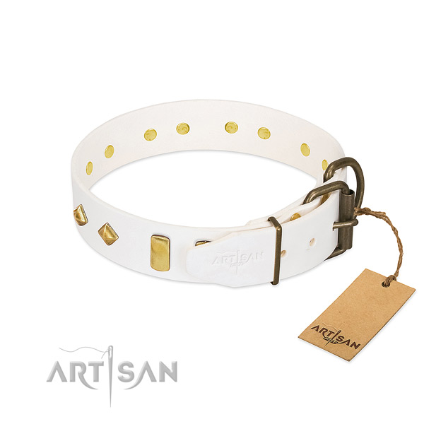 Gentle to touch full grain genuine leather dog collar with strong fittings